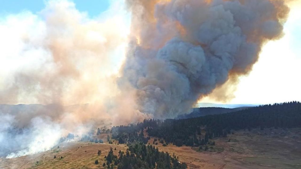 Orman yangınına 18 helikopter, 2 uçak ve 42 arazözle müdahale sürüyor