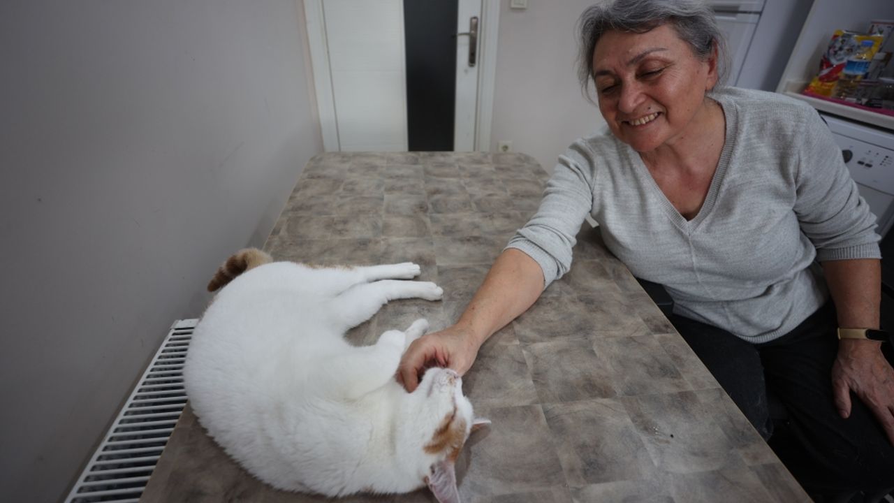 Bedensel engelli emekli öğretmen ile gözleri görmeyen kedisi "can yoldaşı" oldu
