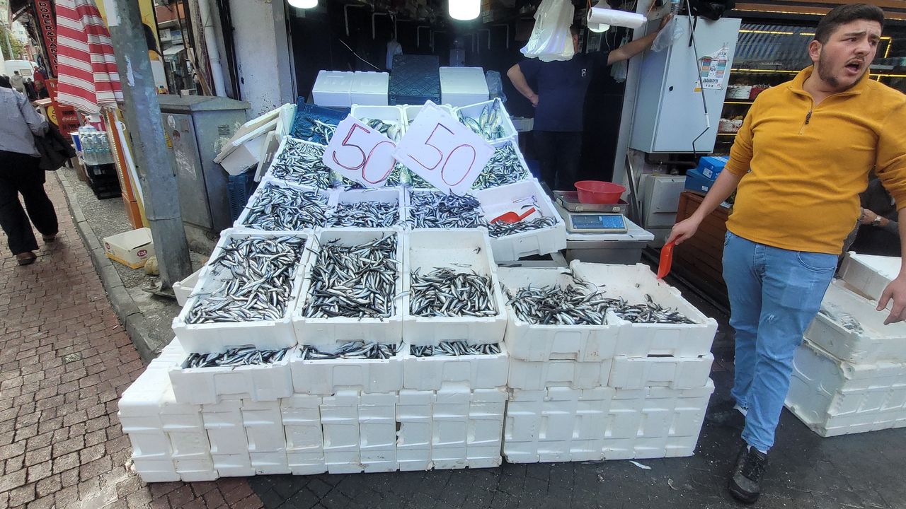 50 liraya kadar düştü, Kastamonu hamsiye doyacak!