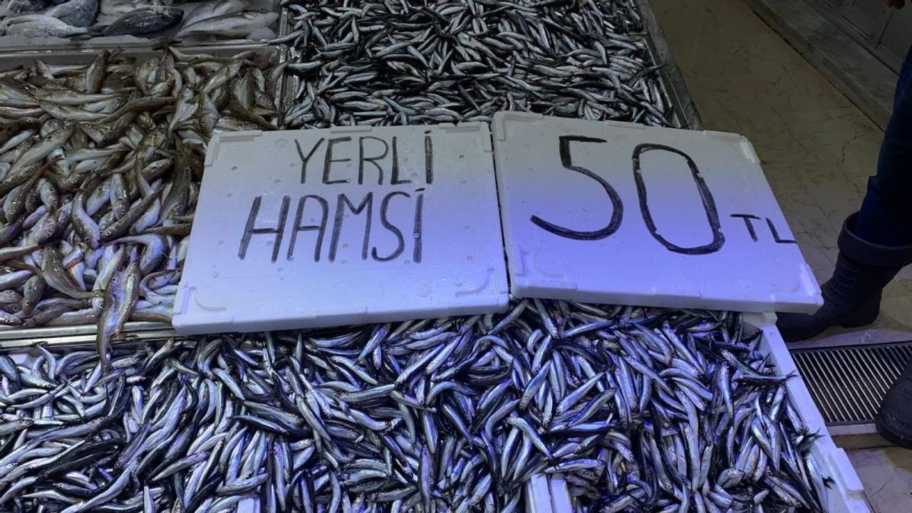 Fiyatlar yarı yarıya düştü, hamsiseverler akın etti!