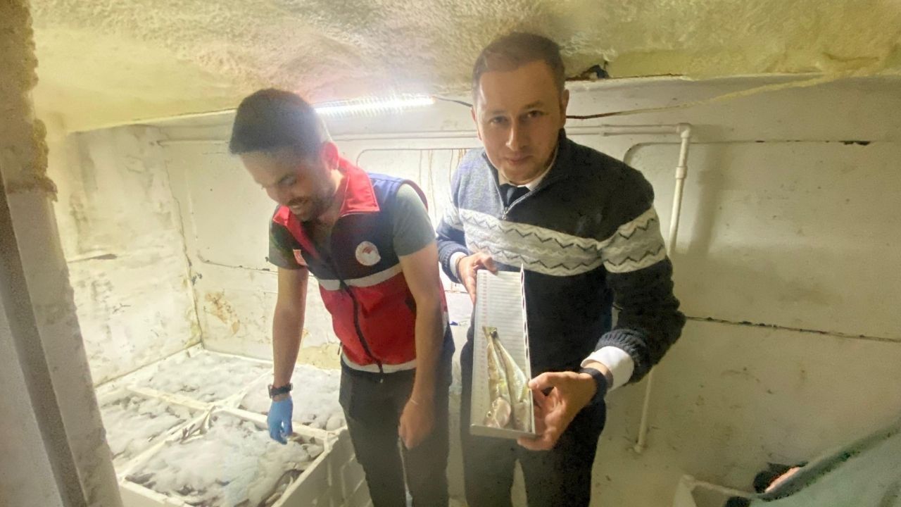 Kastamonu’da Balıkçıların Yüzü Güldü: 2 Ton Mezgit Karaya Çıkarıldı