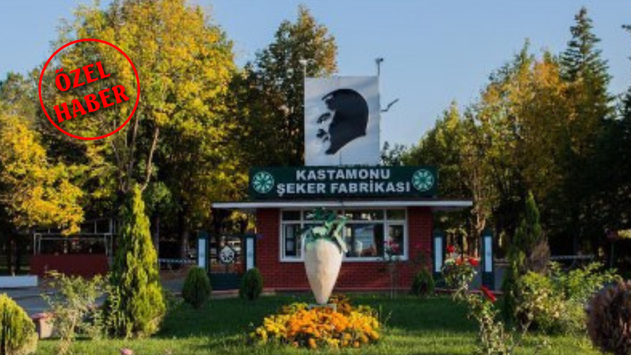 Kastamonu'da pancar çiftçileri eleştirmişti! Pazar günleri alım olacak mı: Fabrika açıkladı!