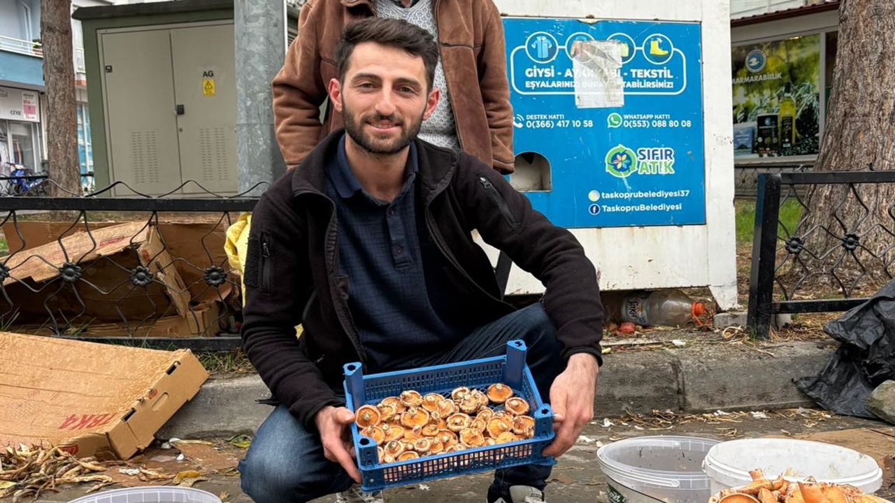 Taşköprü'de Kanlıca Mantarı Bereketi Yaşanıyor
