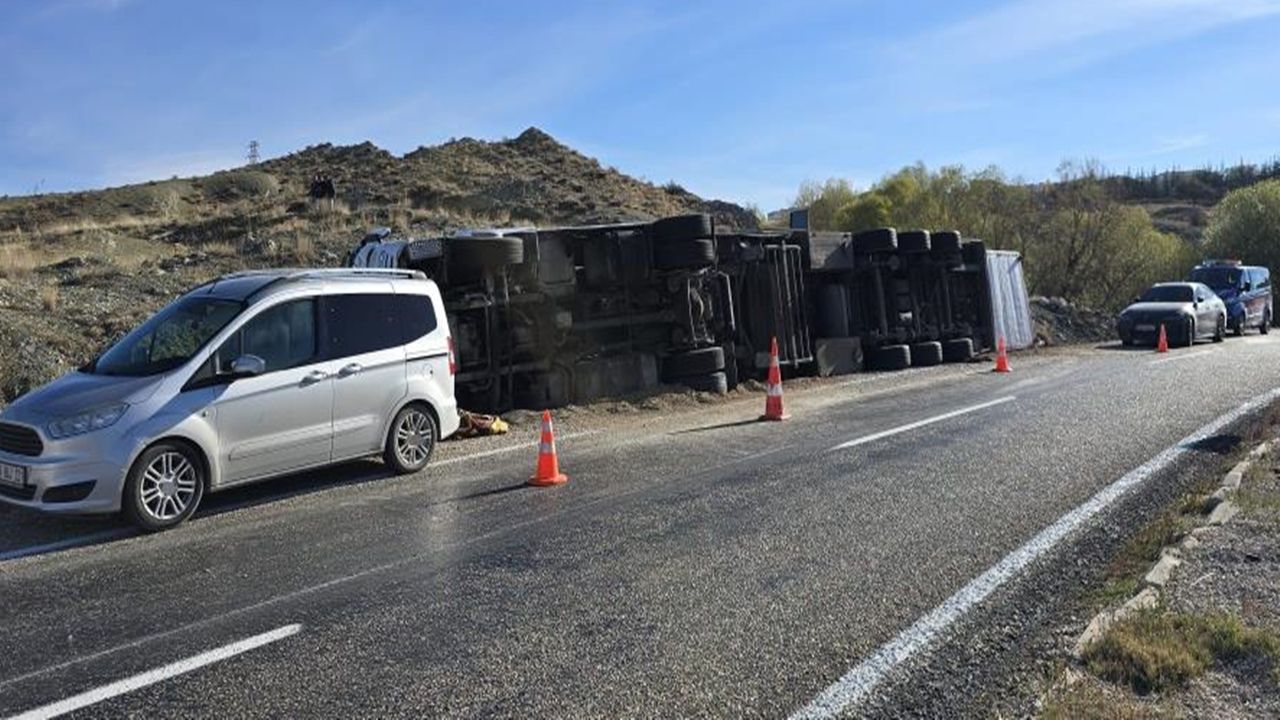 Devrilen tırdaki 2 inek telef oldu!