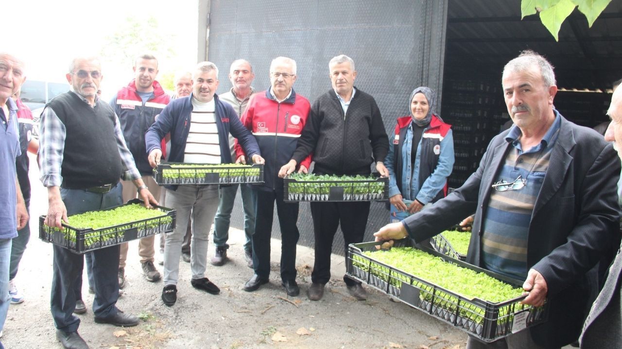 İnebolu’da çiftçiye 88 bin 400 fide desteği