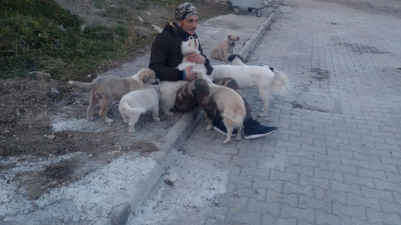 İnsanları sahura sokak hayvanları ile birlikte kaldırıyor