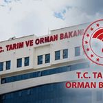 Bakan Yumaklı açıkladı! Gıdada 8 ayda 1,6 milyar liralık ceza