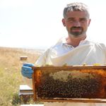 Kastamonu'da bahar yağışları bal üretimini vurdu
