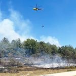 Kastamonu'ya komşu ilde orman yangını çıktı
