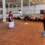 Kastamonu’da hayvancılık desteklemeleri için saha denetimi