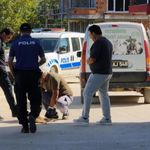 Komşuda vicdanları yaralayan olay: Sokak köpeğini vurdular