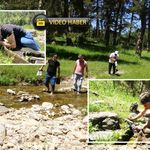 Kastamonu'da tansiyon ve diyabet hastaları bu suda şifa arıyor