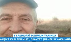 3 yaşındaki torunun yanında vahşice katledilmişti, cinayet şüphelisi yakalandı