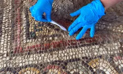Taşköprü'de 1800 Yıllık Mozaik Gün Yüzüne Çıkartıldı!