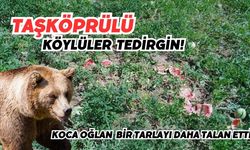 Taşköprülü köylüler tedirgin!