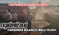 Taşköprü'deki yangında bilanço belli oldu! 11 büyükbaş hayvanını kaybetti...