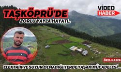 Taşköprü'de zorlu yayla hayatı..