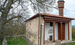 Mahmut Bey Camii, UNESCO Dünya Mirası Komitesinin gündeminde