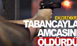 Arazi anlaşmazlığı nedeniyle tartıştığı amcasını öldürdü