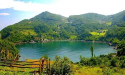 Kastamonu Tabiat ve Milli Parkları: Doğal Güzellikler ve Aktiviteler