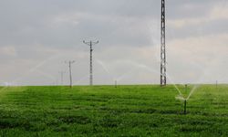 DEPSAŞ Enerji'den, Mardin'deki tarımsal sulama abonelerine borç uyarısı