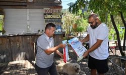 Kumluca'da hayvanseverlere mama desteği