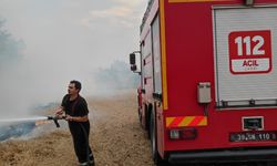 Lüleburgaz'da çıkan anız yangını söndürüldü