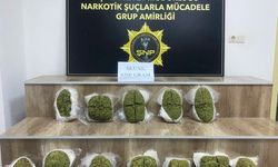 Şanlıurfa'da yolcu otobüsünde 6,5 kilogram skunk ele geçirildi