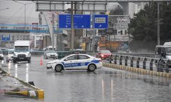 Van'da sağanak nedeniyle bazı ev ve iş yerlerini su bastı