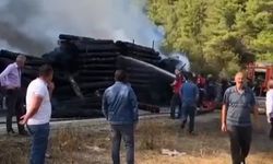 Tomruk yüklü tır alevlere teslim oldu