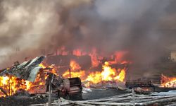 Tosya'nın köyünde çıkan feci yangında 15 ev alevlere teslim oldu