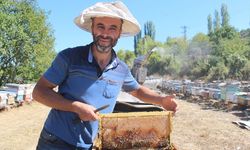 7 bin arı kolonisi bulunan ilçemizde 55 ton bal hasadı yapıldı