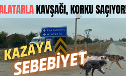 Alatarla Kavşağı, Korku Saçıyor! 