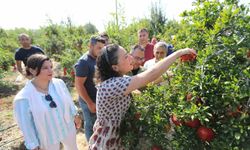 Çarşıdan aldım bir tane, eve geldim bin tane: NAR!