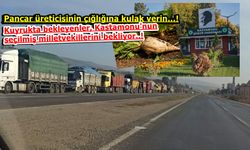 Kastamonu Şeker Fabrikasına tepkiler çığ gibi büyüyor