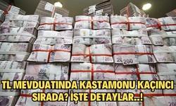 Türkiye'deki mevduat hacminde Kastamonu kaçıncı sırada?