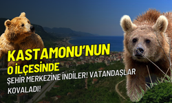 Kastamonu'da girmedikleri yer kalmadı! Şimdi de o ilçedeki şehir merkezine indiler!