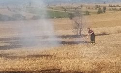 Taşköprü Örhenli Köyü'nde anız yangını
