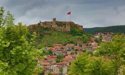 Şehirler Bir Hayvan Olsaydı Kastamonu Ne Olurdu?