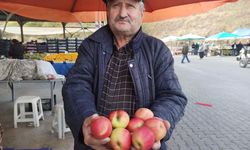 Kastamonu'da 1350 ton elma rekoltesi elde edildi