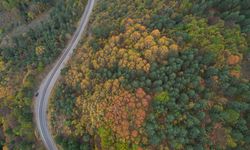 Kastamonu'da ormanlar, sonbaharın renk şölenine ev sahipliği yapıyor