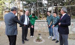 Amasya'da tıp fakültesi öğrencileri fidan dikti