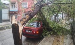 Çorum'da fırtınada çatıya yıldırım düştü