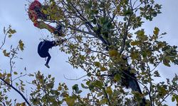 Samsun'da ağaç dallarına takılan paraşütçü kurtarıldı