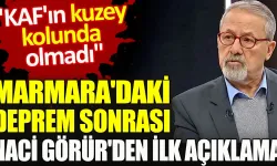 4.1 büyüklüğündeki deprem sonrası Naci Görür’den açıklama!