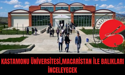 Kastamonu Üniversitesi'nin İki Buluşu TÜRKPATENT Tarafından Tescil Edildi