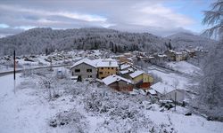 Tokat, Sinop ve Kastamonu'da kar ve fırtına hayatı felç etti
