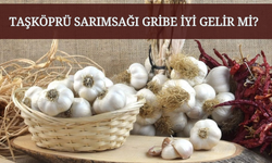 Taşköprü Sarımsağı Gribe İyi Gelir mi?