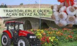 Taşköprü'de Tarımın Çekici Gücü: Traktörlerle Çiçek Açan Beyaz Altın!