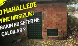 O Mahallede Yine Hırsızlık!  Bakın Bu Sefer Ne Çaldılar?